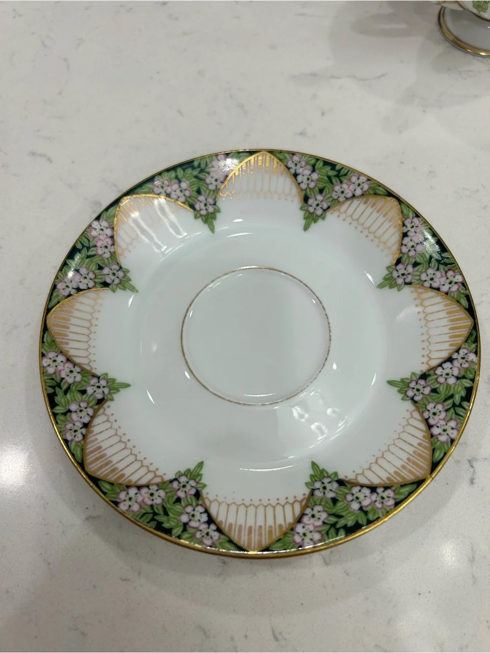 Titanic Pattern-Vintage Floral Gold-Trim Tea Cup & Saucer - Green, Pink, White